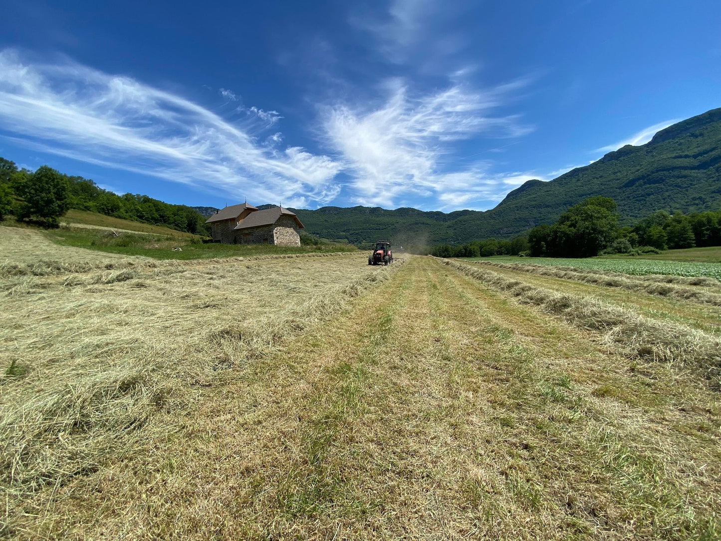 Échantillon découverte - Foin de Prairie
