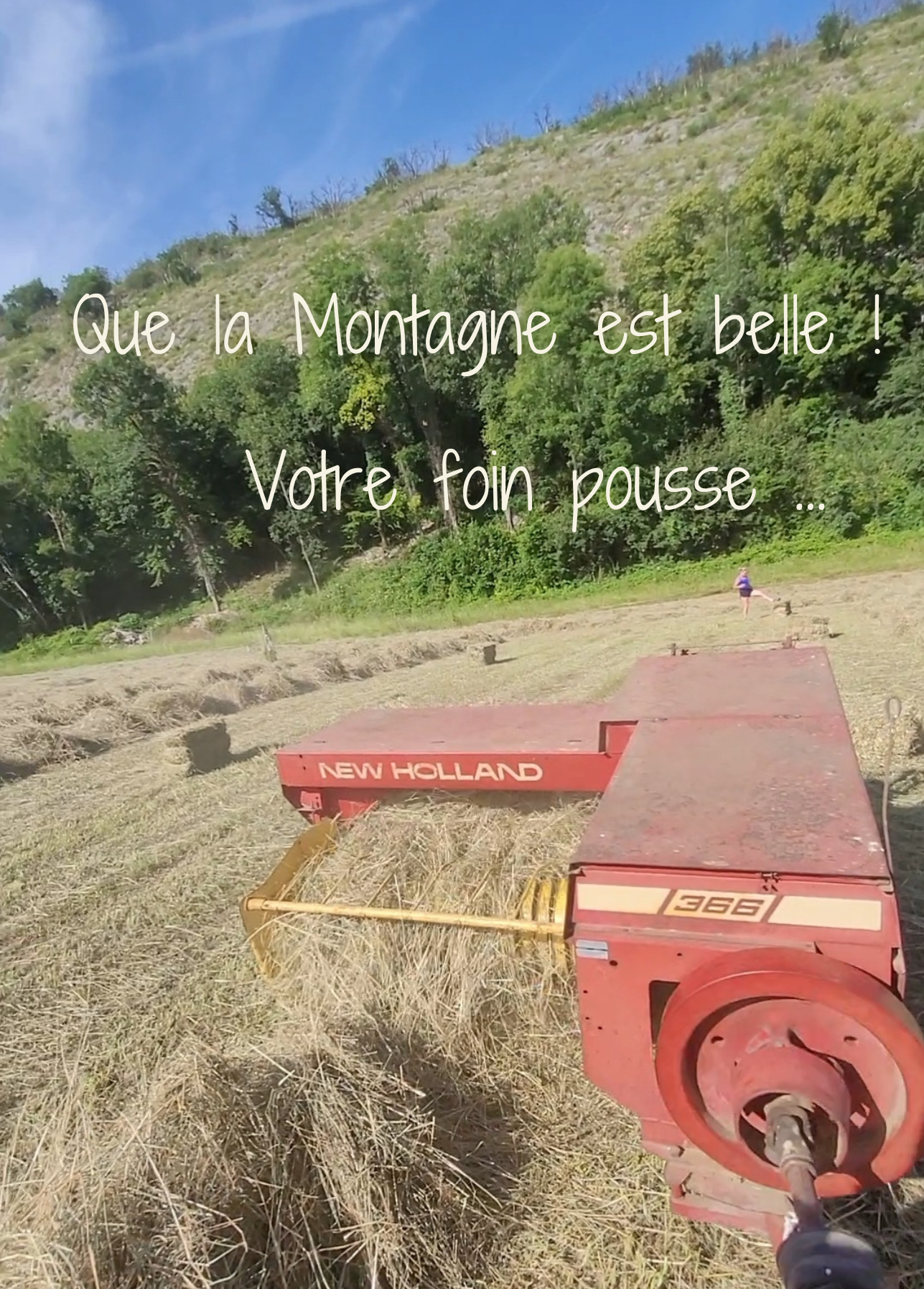 Foin de Prairie - 1ère coupe