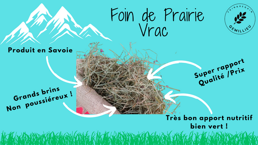 Foin de Prairie - 1ère coupe