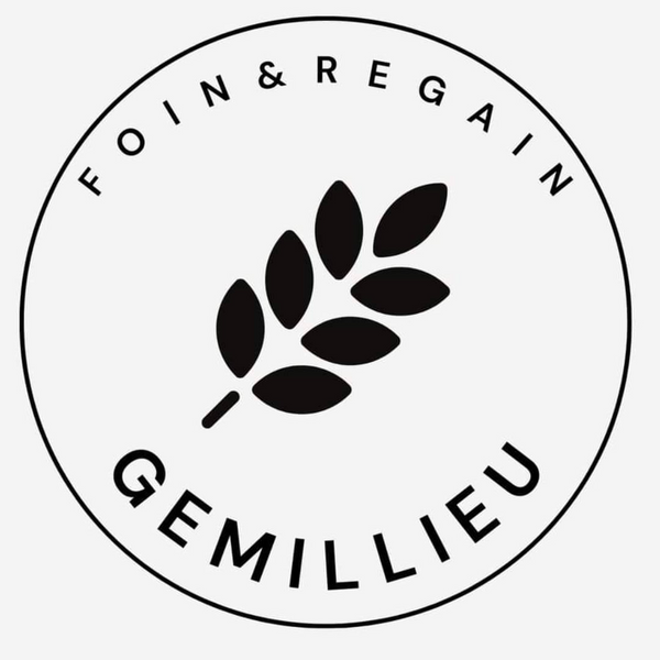 Foin Gemillieu