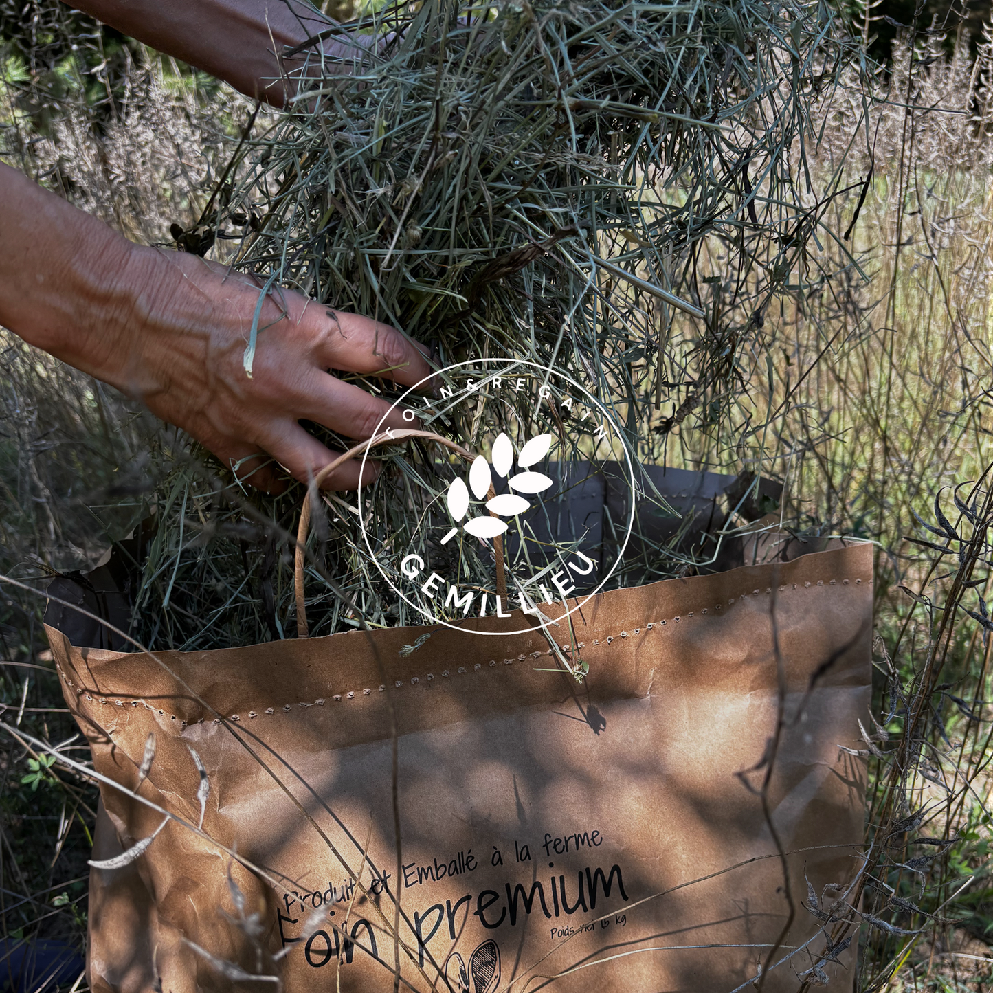 Foin de Prairie - 1ère coupe